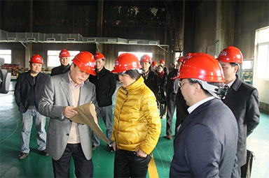 2012年1月31日，時任嘉興市委書記魯俊率領市發(fā)改委等市級部門負責人到公司調(diào)研