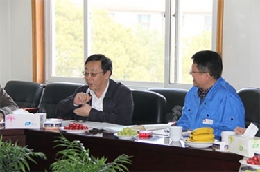 2013年3月18日，時任國家工信部節(jié)能司副司長楊鐵生一行蒞臨公司參觀指導(dǎo)